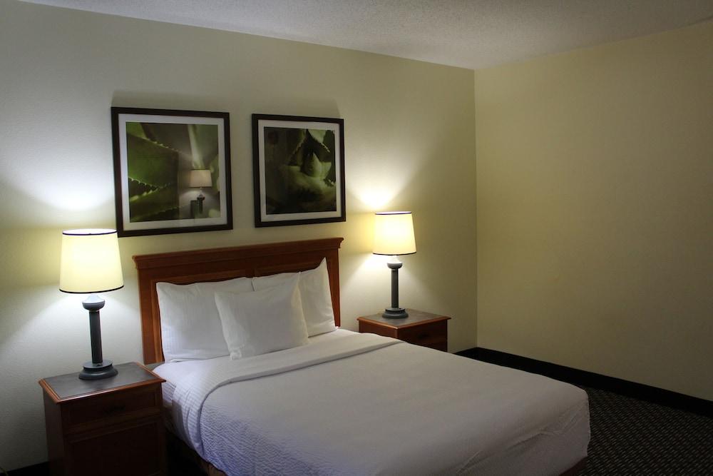 Hotel La Quinta By Wyndham Tampa Brandon West Exterior foto