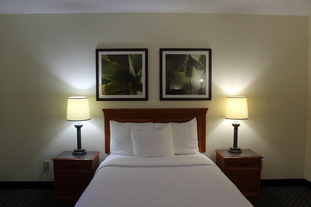 Hotel La Quinta By Wyndham Tampa Brandon West Exterior foto